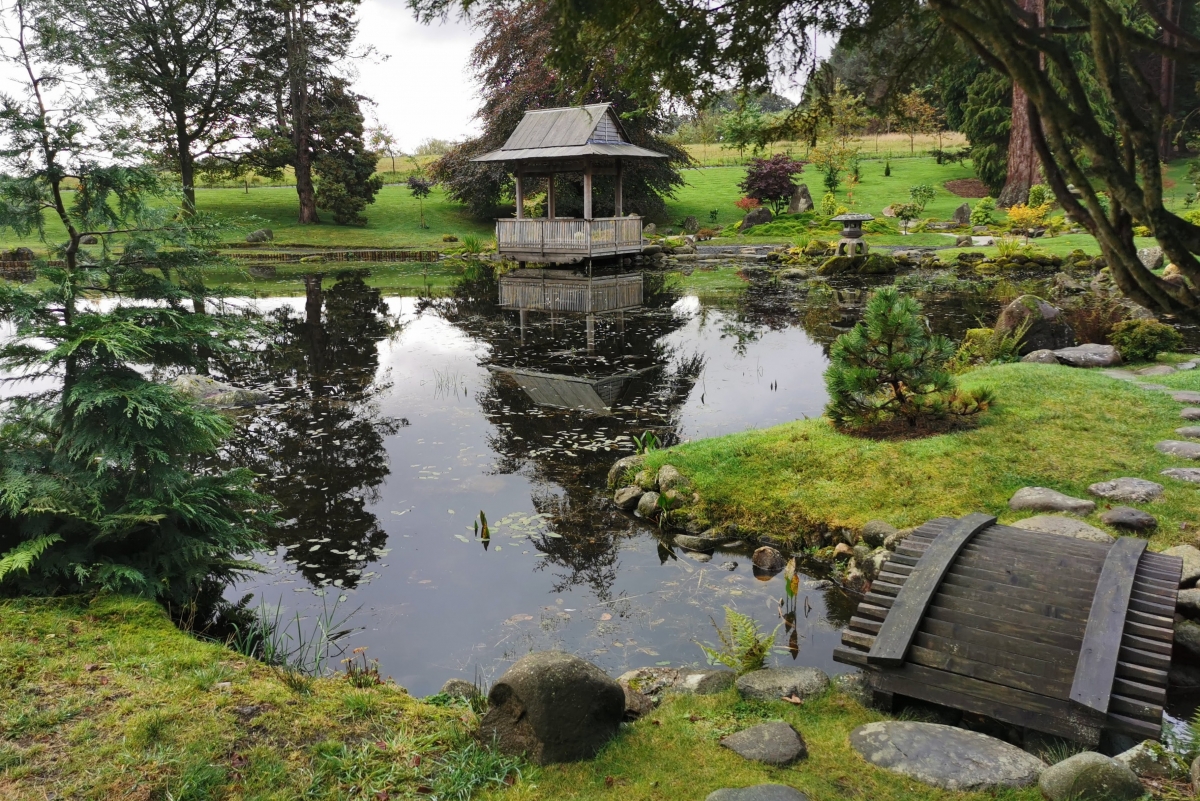 Visit to Japanese Garden, Dollar Rotary Club of West Fife